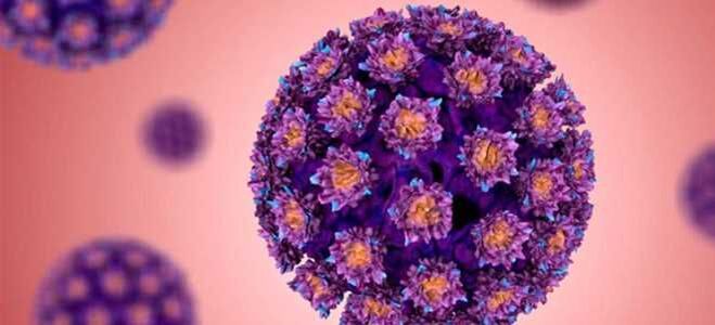 HPV - 인유두종바이러스